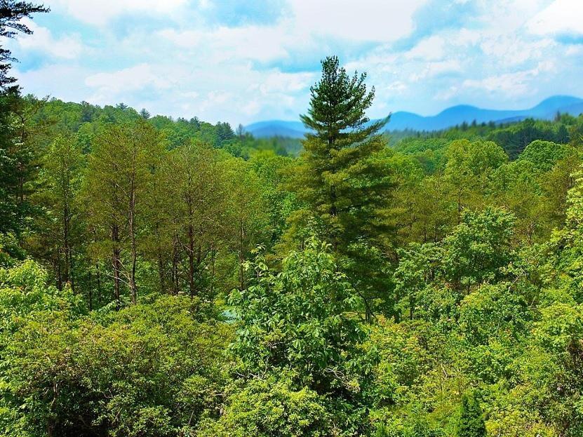Long Mountain Lodge Bed & Breakfast Dahlonega Oda fotoğraf